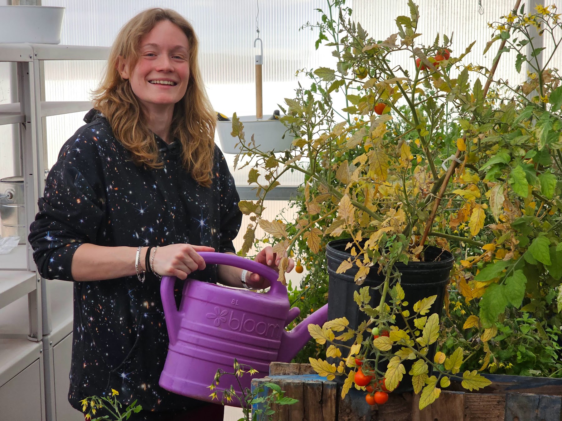 Cecile working in the MDRS GreenHab with cherry tomato plants